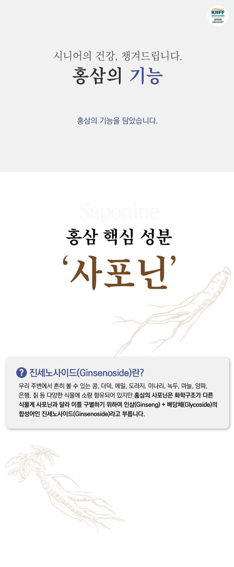 레이어 12